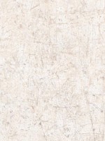 Scratch Texture Cream Tinted Grey Pearl Wallpaper WTG-248045 by Patton Norwall Wallpaper for sale at Wallpapers To Go