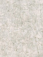 Scratch Texture Sage White Opaque Wallpaper WTG-248046 by Patton Norwall Wallpaper for sale at Wallpapers To Go