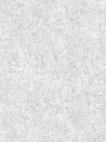Scratch Texture Greys White Opaque Wallpaper WTG-248050 by Patton Norwall Wallpaper for sale at Wallpapers To Go