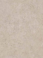Sandstone Brown Wallpaper WTG-248061 by Patton Norwall Wallpaper for sale at Wallpapers To Go