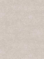 Micro Texture Taupe Wallpaper WTG-248080 by Patton Norwall Wallpaper for sale at Wallpapers To Go