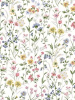 Wildflowers Multicolored Wallpaper WTG-248128 by Seabrook Wallpaper for sale at Wallpapers To Go