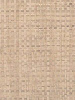 Catalina Weave Raffia Wallpaper WTG-248451 by Winfield Thybony Wallpaper for sale at Wallpapers To Go