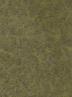 Enduring Alligator Skin Wallpaper WTG-248592 by Winfield Thybony Wallpaper for sale at Wallpapers To Go