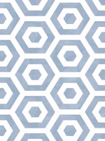 Pop Powder Blue Wallpaper WTG-249103 by Winfield Thybony Wallpaper for sale at Wallpapers To Go
