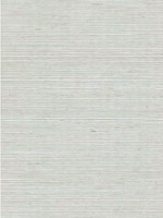 Solo Sisal Barely Blue Wallpaper WTG-249206 by Winfield Thybony Wallpaper for sale at Wallpapers To Go