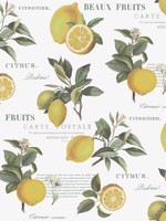 Citron Botanical Yellow Green White Wallpaper WTG-250248 by Galerie Wallpaper for sale at Wallpapers To Go