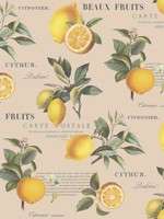 Citron Botanical Taupe Wallpaper WTG-250249 by Galerie Wallpaper for sale at Wallpapers To Go