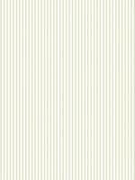 Candy Stripe Sage Green Wallpaper WTG-250499 by Galerie Wallpaper for sale at Wallpapers To Go