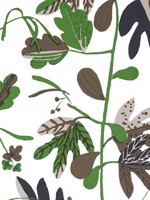 Matisse Leaf Black and Green Wallpaper WTG-250757 by Thibaut Wallpaper for sale at Wallpapers To Go