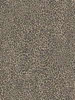 Brown Leopard King Wallpaper WTG-253914 by York Wallpaper for sale at Wallpapers To Go
