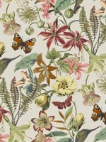Butterfly House Light Taupe and Coral Wallpaper WTG-253989 by York Wallpaper for sale at Wallpapers To Go