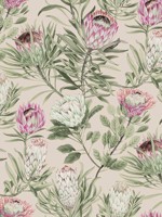 Protea Blush Wallpaper WTG-254002 by York Wallpaper for sale at Wallpapers To Go
