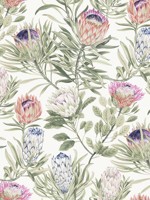 Protea White and Fuchsia Wallpaper WTG-254003 by York Wallpaper for sale at Wallpapers To Go