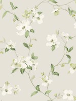 Dogwood Light Grey Wallpaper WTG-254008 by York Wallpaper for sale at Wallpapers To Go