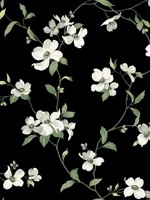Dogwood Black Wallpaper WTG-254010 by York Wallpaper for sale at Wallpapers To Go