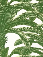 Queen Palm Green Wallpaper WTG-254262 by Thibaut Wallpaper for sale at Wallpapers To Go