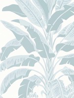 Banana Tree Spa Blue Wallpaper WTG-254269 by Thibaut Wallpaper for sale at Wallpapers To Go