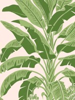 Banana Tree Pink and Green Wallpaper WTG-254270 by Thibaut Wallpaper for sale at Wallpapers To Go