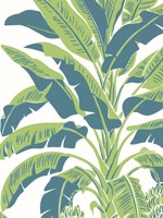 Banana Tree Green and Blue Wallpaper WTG-254271 by Thibaut Wallpaper for sale at Wallpapers To Go