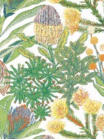 Protea Brights Wallpaper WTG-254274 by Thibaut Wallpaper for sale at Wallpapers To Go
