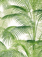 Delray Green Wallpaper WTG-254291 by Thibaut Wallpaper for sale at Wallpapers To Go