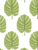 Monstera Apple Green Wallpaper WTG-254304 by Thibaut Wallpaper for sale at Wallpapers To Go