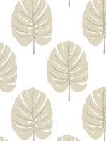 Monstera Beige Wallpaper WTG-254305 by Thibaut Wallpaper for sale at Wallpapers To Go