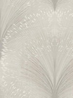 Papyrus Plume Grey Wallpaper WTG-254505 by York Wallpaper for sale at Wallpapers To Go