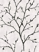 Avena Branches Contrast Wallpaper WTG-254765 by Seabrook Wallpaper for sale at Wallpapers To Go