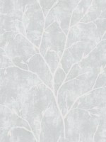Avena Branches Winter Grey Wallpaper WTG-254768 by Seabrook Wallpaper for sale at Wallpapers To Go