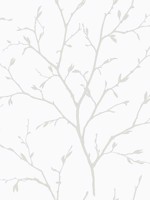 Branching Out Winter Grey Wallpaper WTG-254802 by Seabrook Wallpaper for sale at Wallpapers To Go