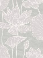 Water Lilies Shadow Wallpaper WTG-254804 by Seabrook Wallpaper for sale at Wallpapers To Go