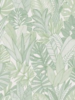 Cornish Lane Tropicale Wallpaper WTG-254877 by Winfield Thybony Wallpaper for sale at Wallpapers To Go