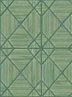 Midway Ave Verde Wallpaper WTG-254889 by Winfield Thybony Wallpaper for sale at Wallpapers To Go
