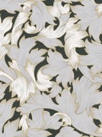 Acanthus Toss Black and Grey Wallpaper WTG-255065 by York Wallpaper for sale at Wallpapers To Go