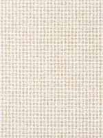 Remy Dot Caramel Fabric WTG-255105 by Thibaut Fabrics for sale at Wallpapers To Go
