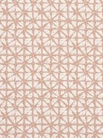 Soren Clay Fabric WTG-255113 by Thibaut Fabrics for sale at Wallpapers To Go