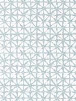 Soren Seaglass Fabric WTG-255115 by Thibaut Fabrics for sale at Wallpapers To Go