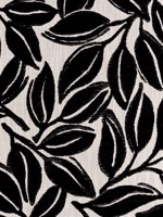 Kona Ebony Fabric WTG-255131 by Thibaut Fabrics for sale at Wallpapers To Go