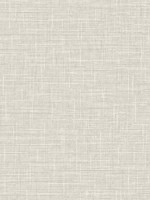 Grasmere Weave Weathered Oak Wallpaper WTG-256068 by Dupont Wallpaper for sale at Wallpapers To Go
