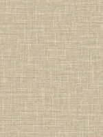 Grasmere Weave Honeycomb Wallpaper WTG-256076 by Dupont Wallpaper for sale at Wallpapers To Go