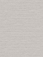 Edmond Faux Sisal Warm Macadamia Wallpaper WTG-256095 by Dupont Wallpaper for sale at Wallpapers To Go