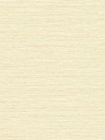 Edmond Faux Sisal Sunkissed Wallpaper WTG-256096 by Dupont Wallpaper for sale at Wallpapers To Go