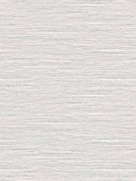 Braided Faux Jute Smokey Pearl Wallpaper WTG-256106 by Dupont Wallpaper for sale at Wallpapers To Go