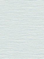 Braided Faux Jute Seaglass Wallpaper WTG-256108 by Dupont Wallpaper for sale at Wallpapers To Go