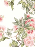 Camellia Garden Coral Wallpaper WTG-256225 by Anna French Wallpaper for sale at Wallpapers To Go