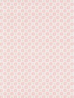 Mini Sun Rose Wallpaper WTG-256245 by Anna French Wallpaper for sale at Wallpapers To Go