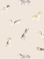 Buddy Neutral Wallpaper WTG-256272 by Anna French Wallpaper for sale at Wallpapers To Go