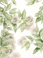 Camellia Garden Spring on White Fabric WTG-256304 by Anna French Fabrics for sale at Wallpapers To Go